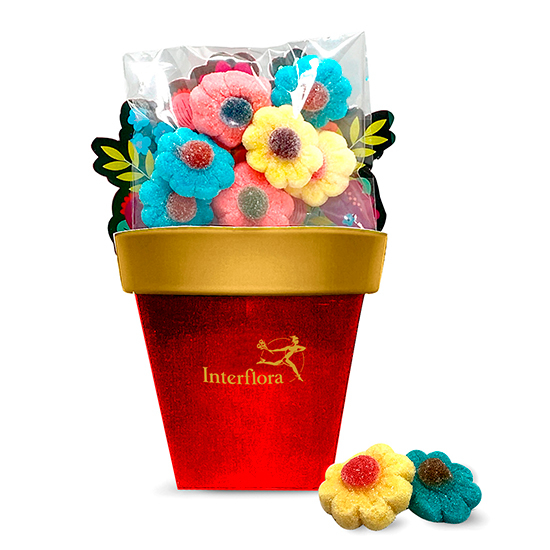 maceta flores gummy